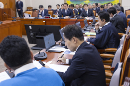 실손·보험사기 대응 ‘질타’…국감, 보험사 소비자보호 미흡 ”십자포화“