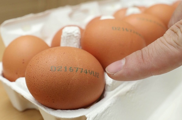 [출처:뉴스1]오는 23일부터 달걀 껍데가(난각) 산란일자 표시제도가 시행된다. 산란일자는 4자리 숫자로 맨 앞에 표시된다.