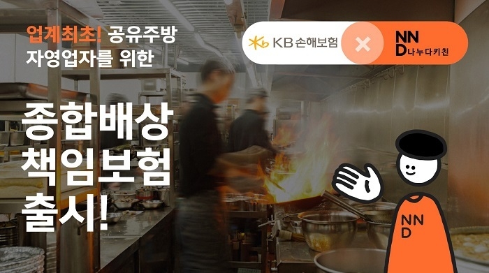 (이미지=KB손보)
