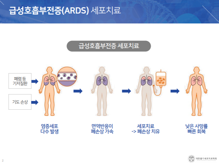 [제공=대한줄기세포치료학회]