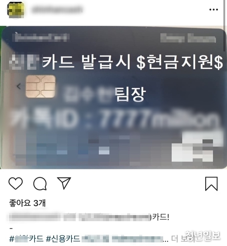 사회관계망 서비스(SNS)에 게시된 불법 신용카드 모집 게시글 캡처.