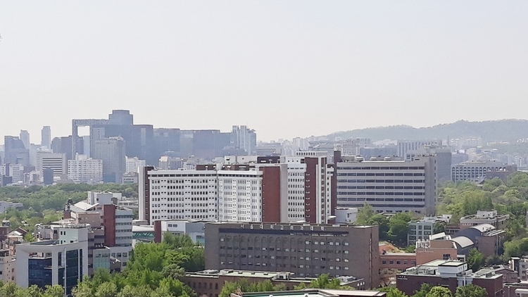 서울대학교병원(종로구 연건동, 사진:연합뉴스)
