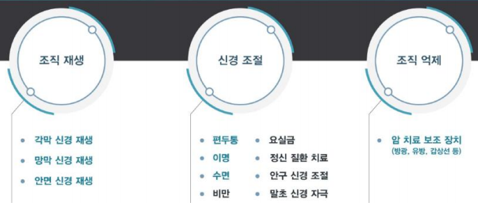 전자약 스타트업 뉴아인의 사업영역 및 파이프라인(사진=리메드)