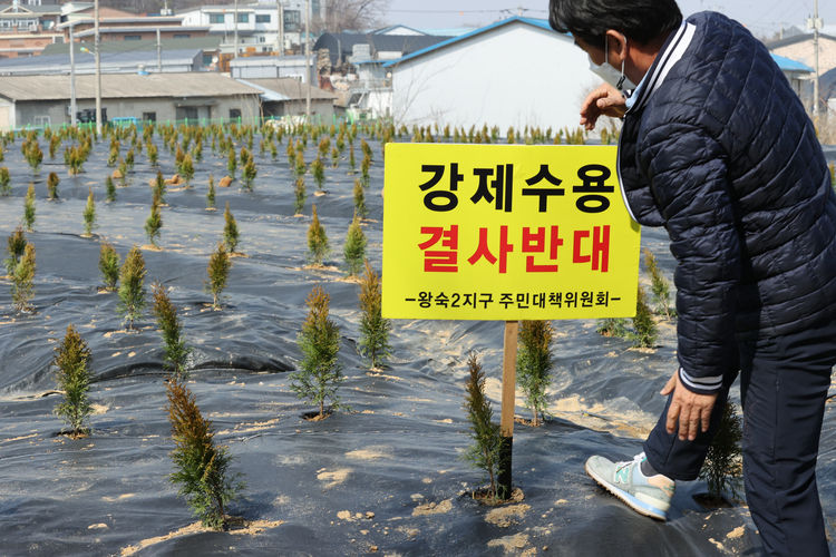 10일 오후 경기 시흥시 과림동의 LH 직원 투기 의혹 토지에서 이날 공공주택지구 전국연대 대책협의회의 LH공사 규탄 기자회견 참가자가 팻말을 나무 묘목 앞에 세우고 있다.