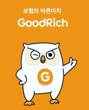 국내 대형 GA중 하나인 굿리치가 대형 GA 18개사 사모임인 지경협에서 전격 탈퇴, 그 배경에 관심이 모아지고 있다. 