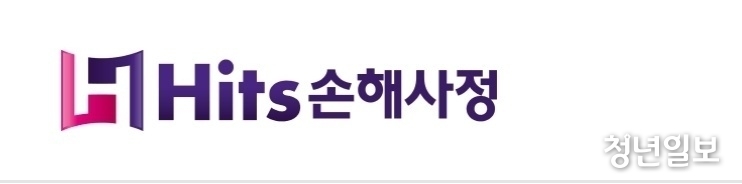 히츠손사는 국내 손사업체 최초로 베트남에 해외 법인을 설립, 인건비 등 비용절감을 통해 손사 보수료를 대폭 낮춰 제공하고 있다. 이에 일부 손사업체들내 위기감이 고조되자, 최근 발생한 SKT 사태를 빌미로 개인정보 유출 가능성에 대한 우려를 제기, 견제 수위를 높이고 있는 것으로 알려졌다. 반면 또 다른 일각에서는 악의적인 음해에 불과하다는 지적을 내놓고 있다.