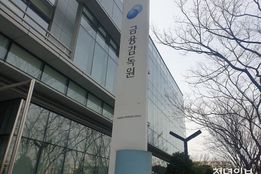 금감원, 소비자보호 기능 재편 착수...지휘체계 '원장 직속' 검토