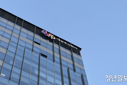 K-푸드 '영토확장' 속 빚도 '눈덩이'…대상, 현금유출에 재무건전성 '경고등'