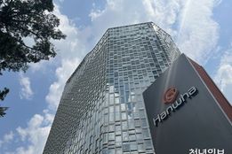 '2.4조' 유상증자 한화솔루션...김동관 '구원투수' 등판에 주가 반등 효과 발휘