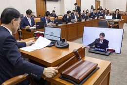 보험사 CEO들, 무더기 증인·참고인에 ‘초긴장’…보험업계, 실손개혁 행보 ‘주목’