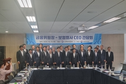 보험업계, 저출산 지원 ‘3종세트’ 내년 도입…연 1천200억 부담 감소
