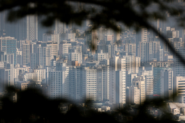 '10·15 대책' 한 달, 서울 아파트 거래 80 가까이 '증발'…시장은 '거래 절벽'