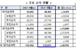 3분기까지 보험사 당기순이익 11조2천억원…지난해보다 15.2 감소