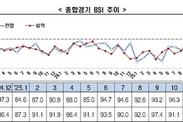 업종별 양극화 '확연'...국내기업 경기전망 "45개월 연속 부정적"