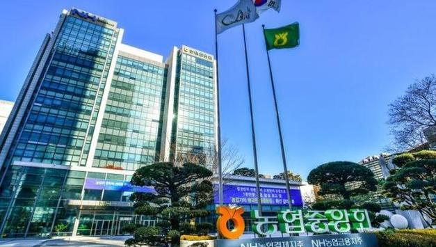 "전 계열사 임원 대폭 교체"...NH농협금융지주 ‘초강도' 인적쇄신 작업 착수