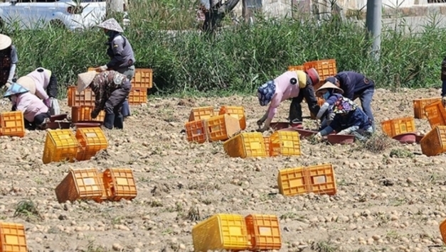 등록외국인 160만명 돌파, 절반 이상 수도권 집중