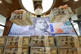 "환율 보너스를 잡아라"...달러보험 시장 '요동'