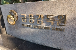 금감원, 올해도 공공기관 지정 유보...정부 “공공성·투명성 보완 필요”