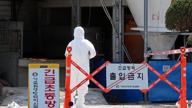 인천·김포 "긴급 예방접종"...9개월만에 '구제역' 발생