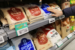 밀가루·설탕 '가격 담합'에 …법조계 "징벌적 손해배상 적용 가능"