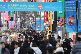 "안전관리 강화"...문체부, 명동서 중국인 춘제 관광객 환영