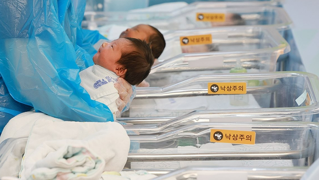 출생아, 18개월 연속 증가…30대 후반 출산율 '역대 최고'