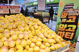 [주간 대형마트 할인템] "장바구니에 봄 담아 가세요"…대형마트 3社, 시즌 수요 선점 '정면승부'