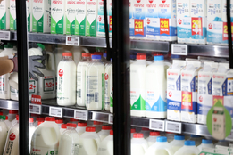 흰 우유, 소비는 '줄고' 수입은 '늘고'…유업계, 포트폴리오 재편 '속도'