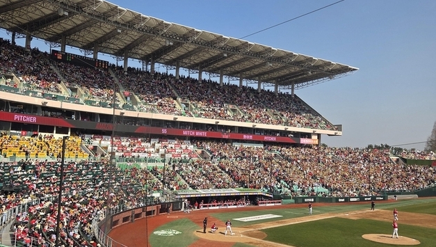 10만 '구름 관중'...'9회말 대역전극' SSG "끝날 때까지 끝난 게 아니다"