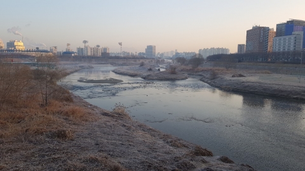 서리내린 안양천 22일 오전 8시 사진 남궁은