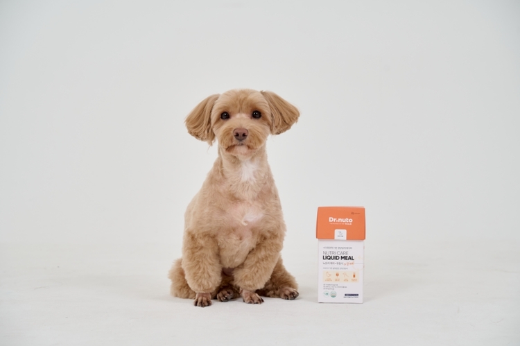 대상펫라이프의 펫푸드 브랜드 '닥터뉴토(Dr. nuto)'의 반려견 유동식 '뉴트리케어'. [사진=대상펫라이프]